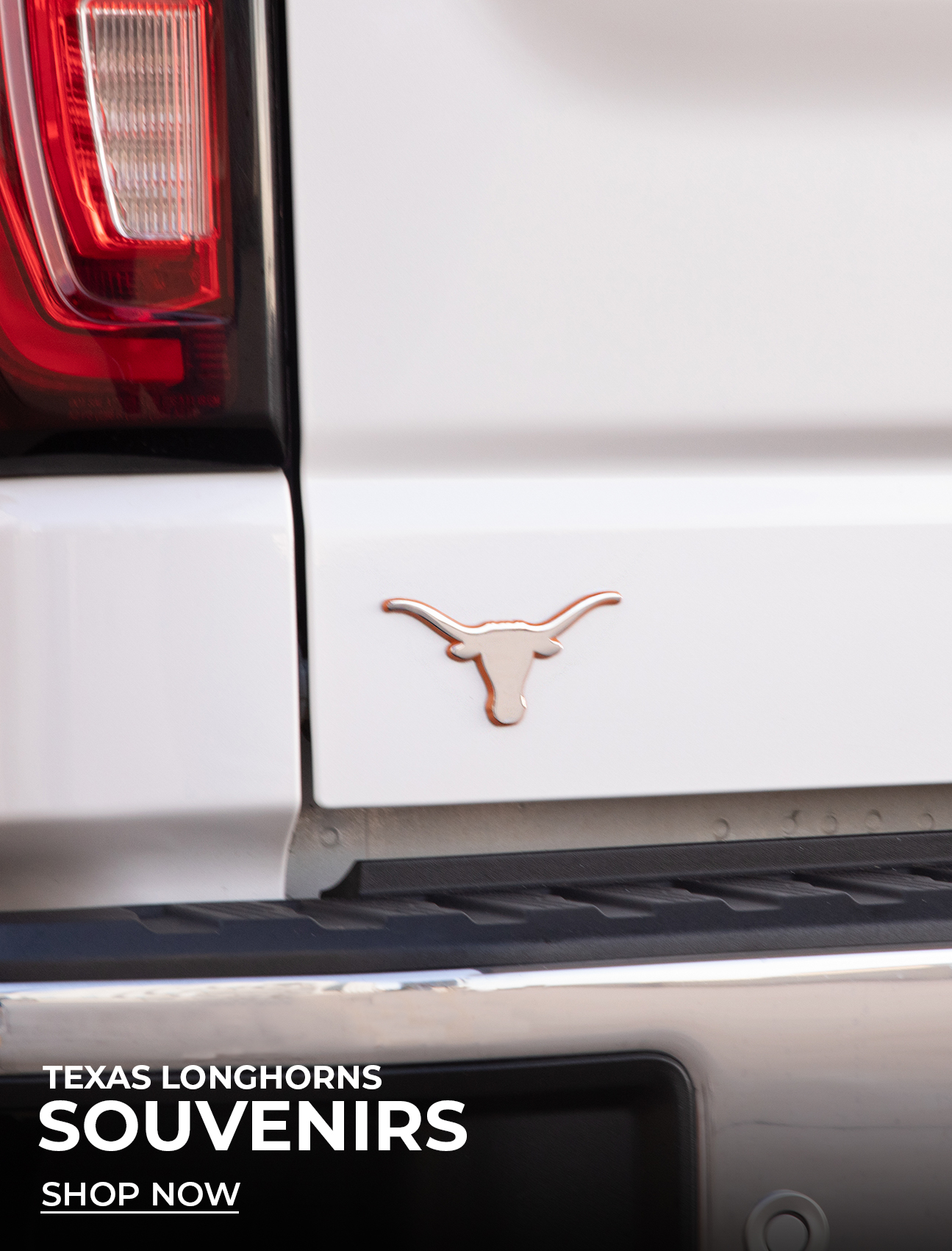 Shop Longhorn Souvenirs